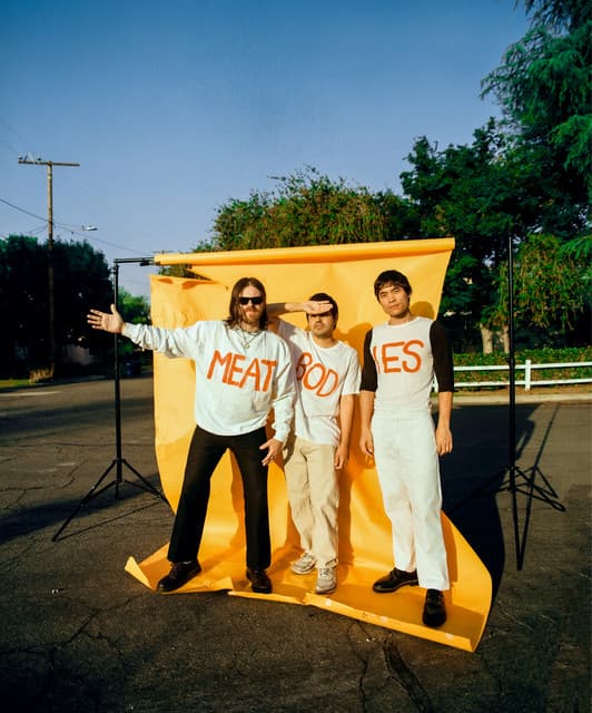 MEATBODIES