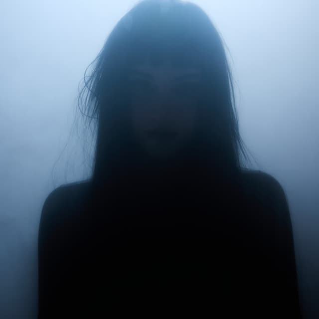 Nikita