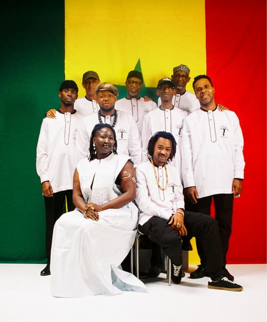 Orchestra Baobab