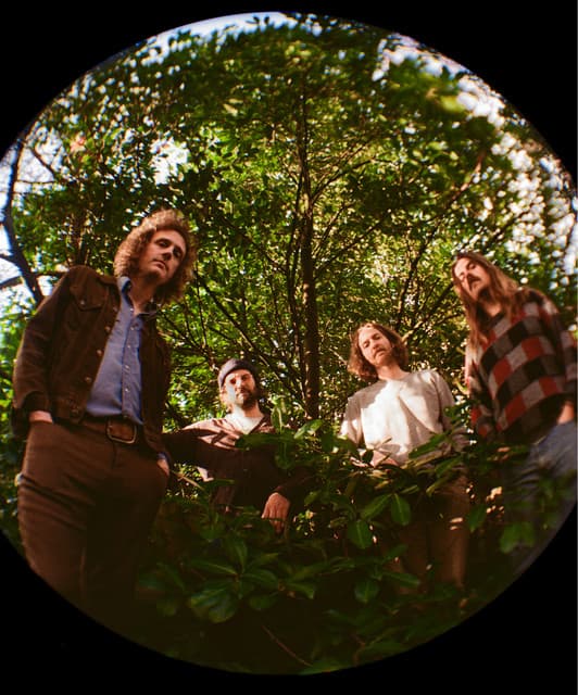 Triptides