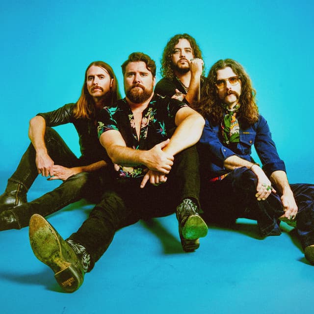 The Sheepdogs
