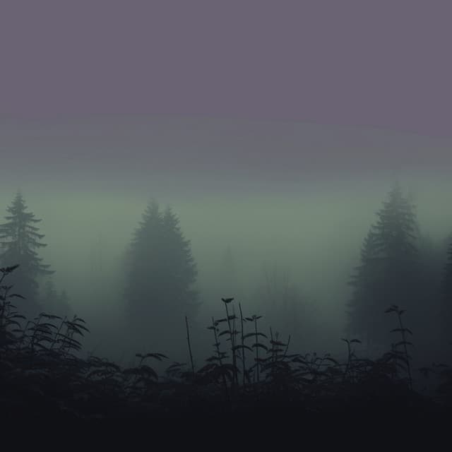 Umbra.