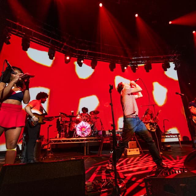 The Go! Team