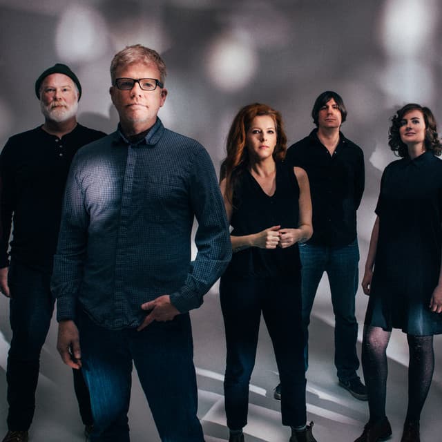 The New Pornographers