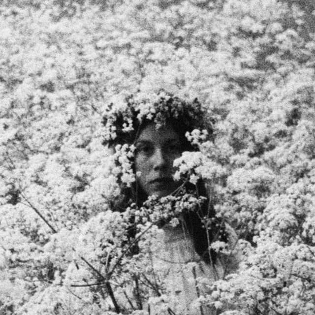 Nina Winder-Lind