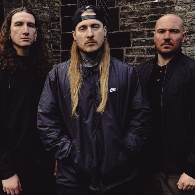 Ingested