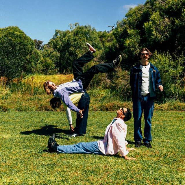 DICE