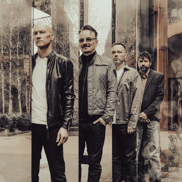 The Pineapple Thief