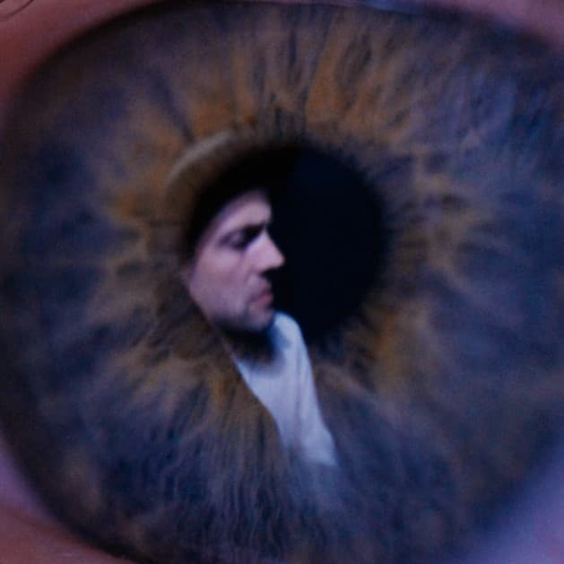 The Veils