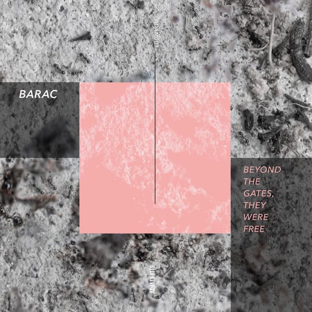 Barac