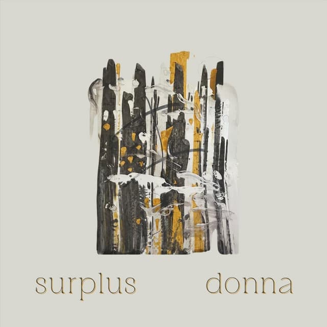 Surplus