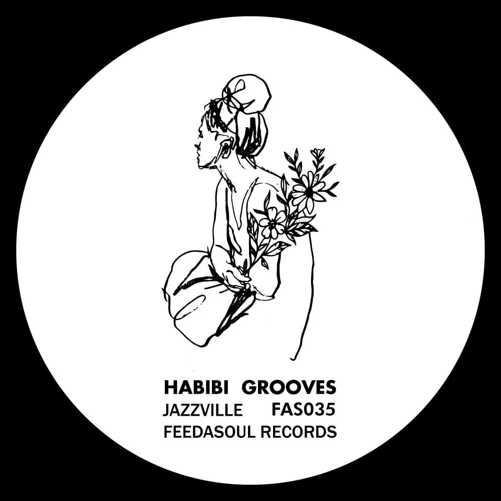 Habibi Grooves