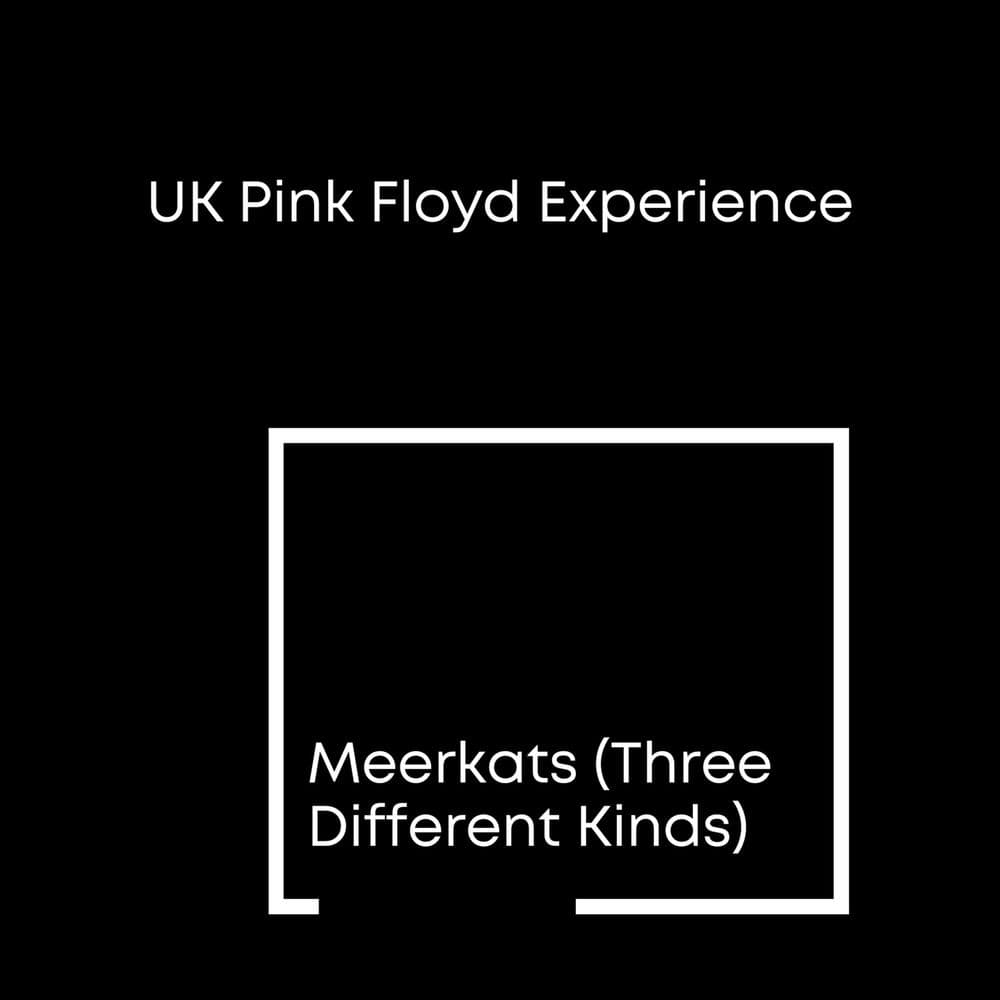 Uk Pink Floyd Experience