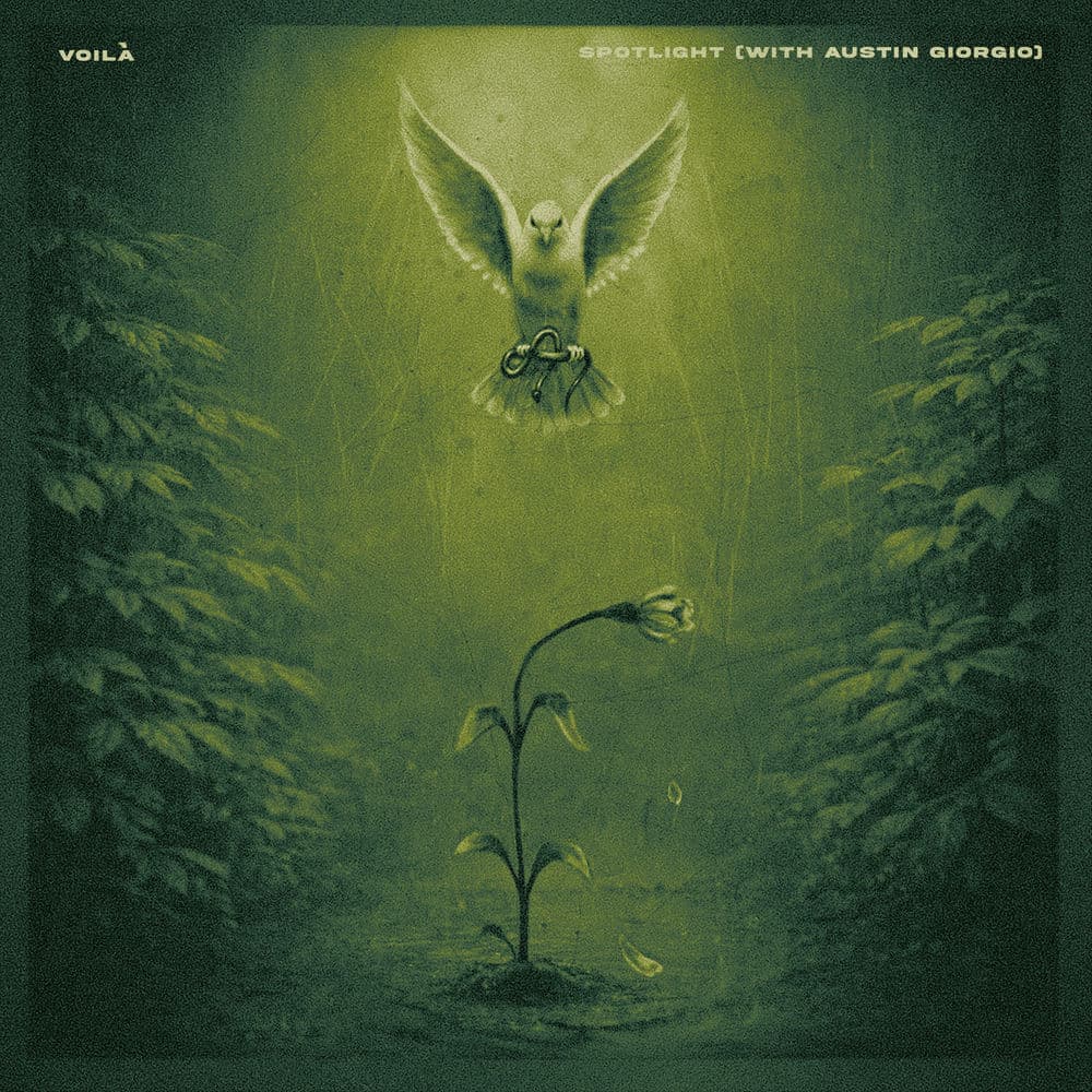 Austin Giorgio