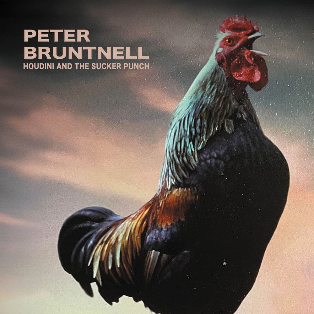 Peter Bruntnell