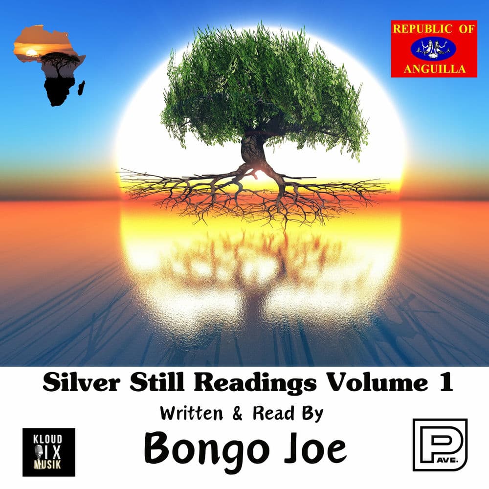 BONGO JOE