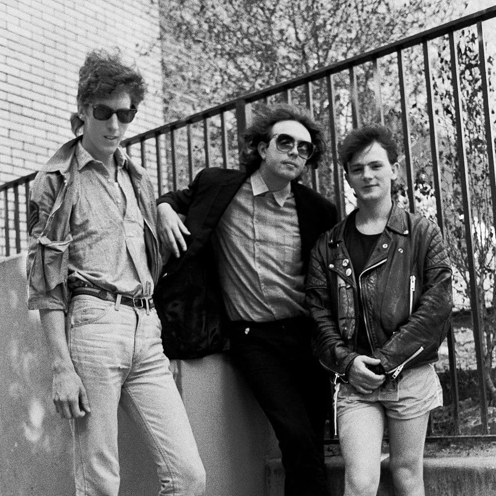 The Icicle Works