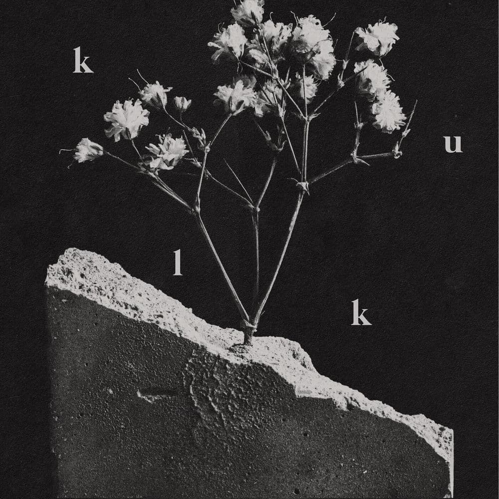 Kulk