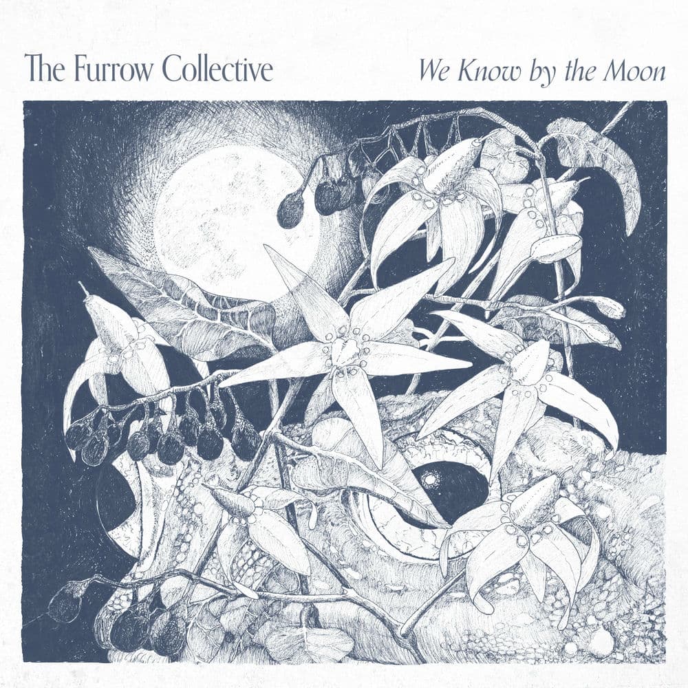 The Furrow Collective