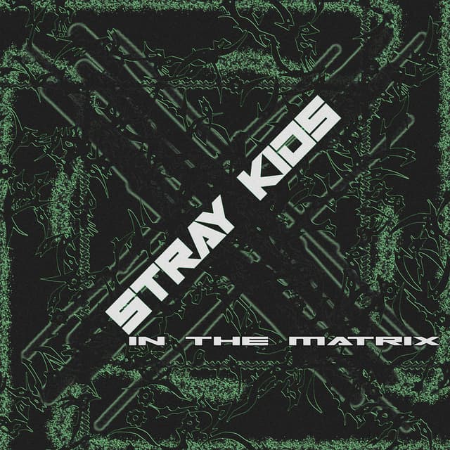 Stray Kids