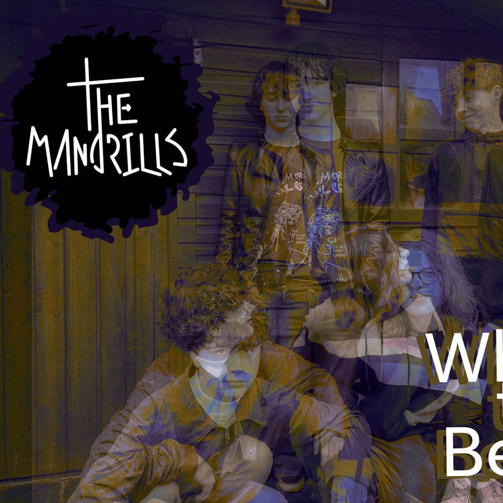 The Mandrills