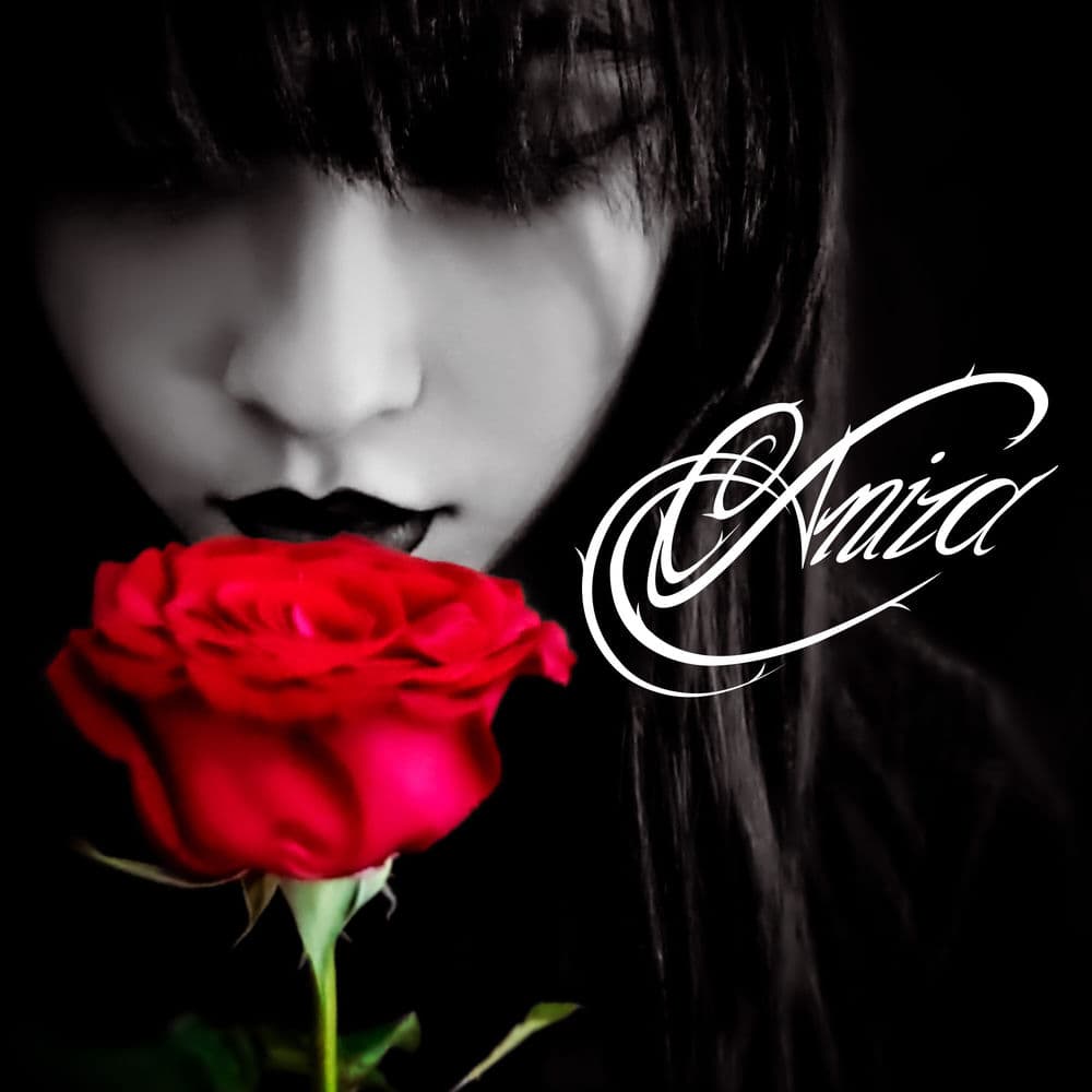 Aniza