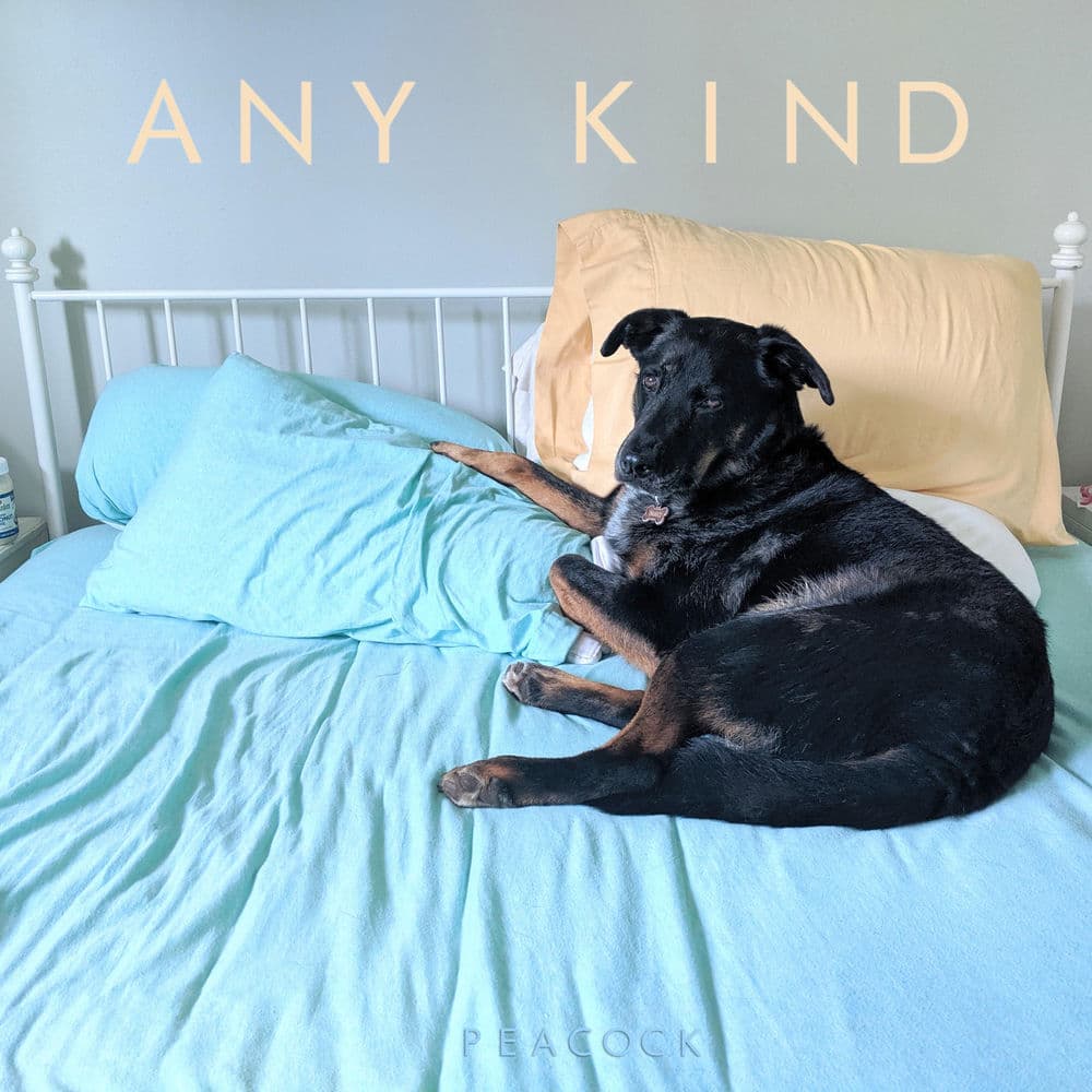 Any Kind