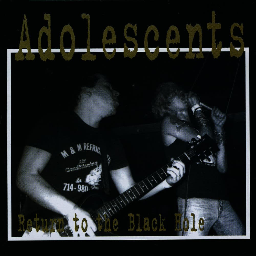 The Adolescents