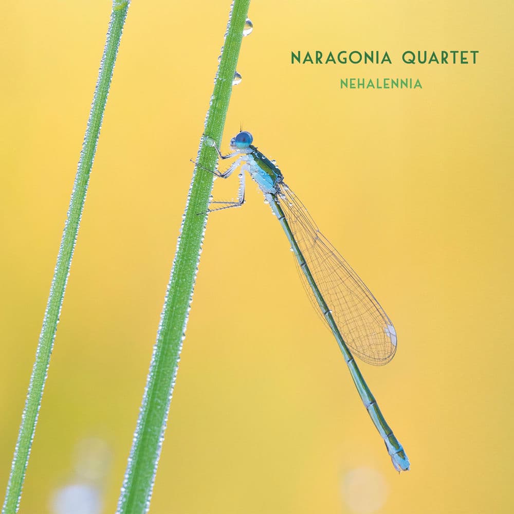 NARAGONIA QUARTET