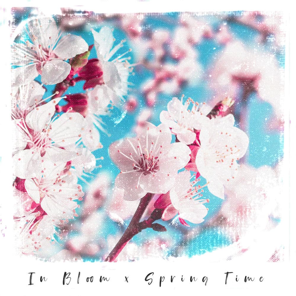 In Bloom