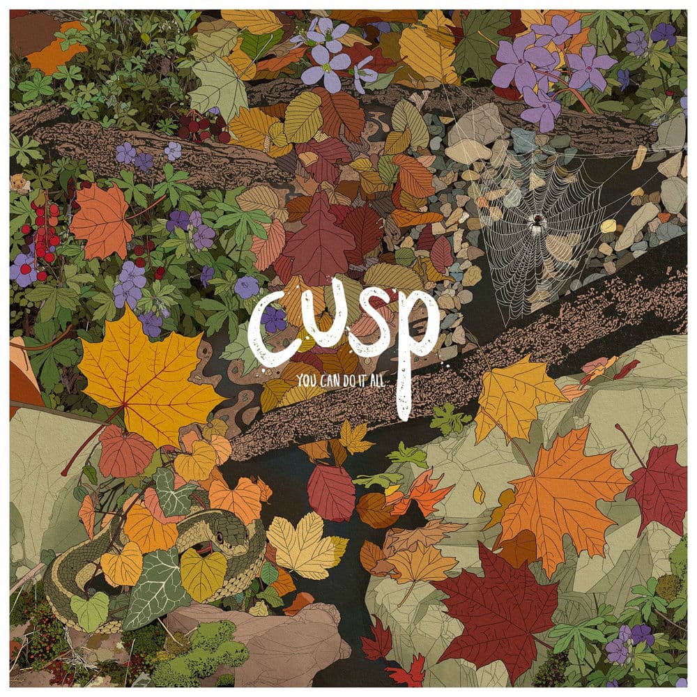 CUSP