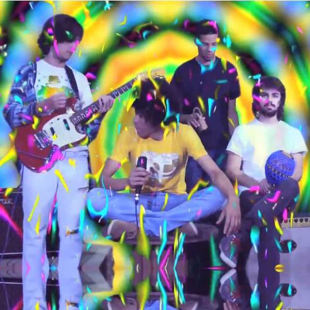 Boogarins