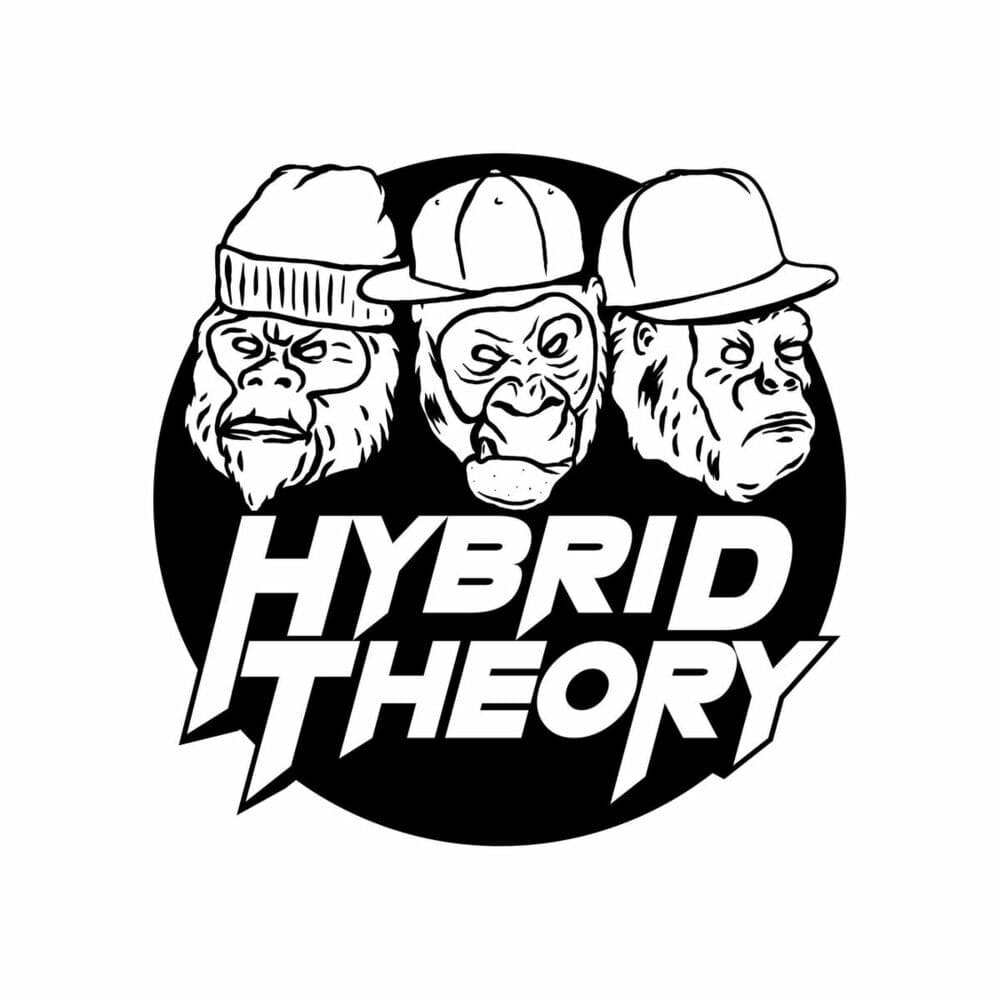 Hybrid Theory