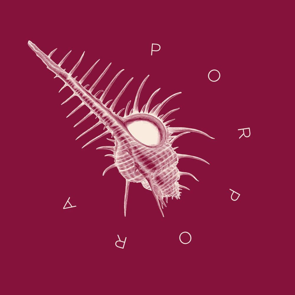 Porpora