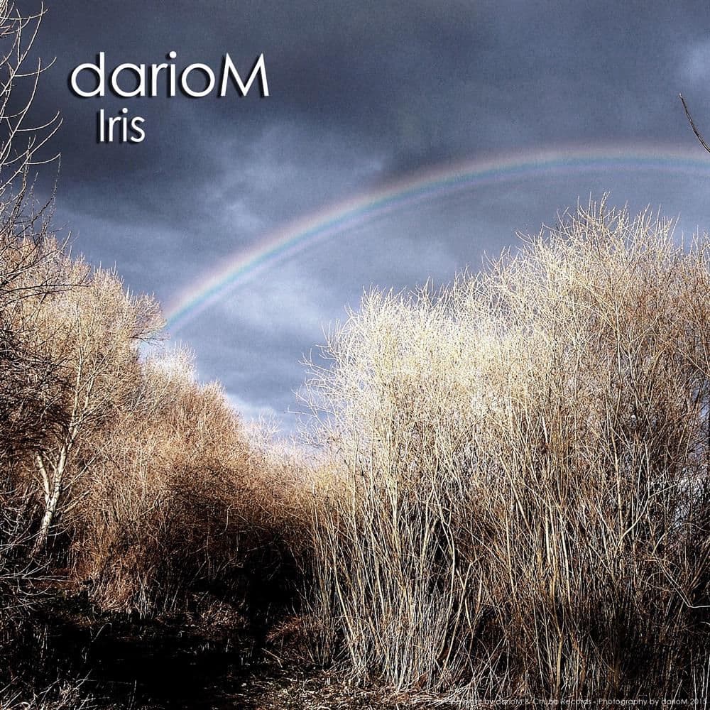 DarioM