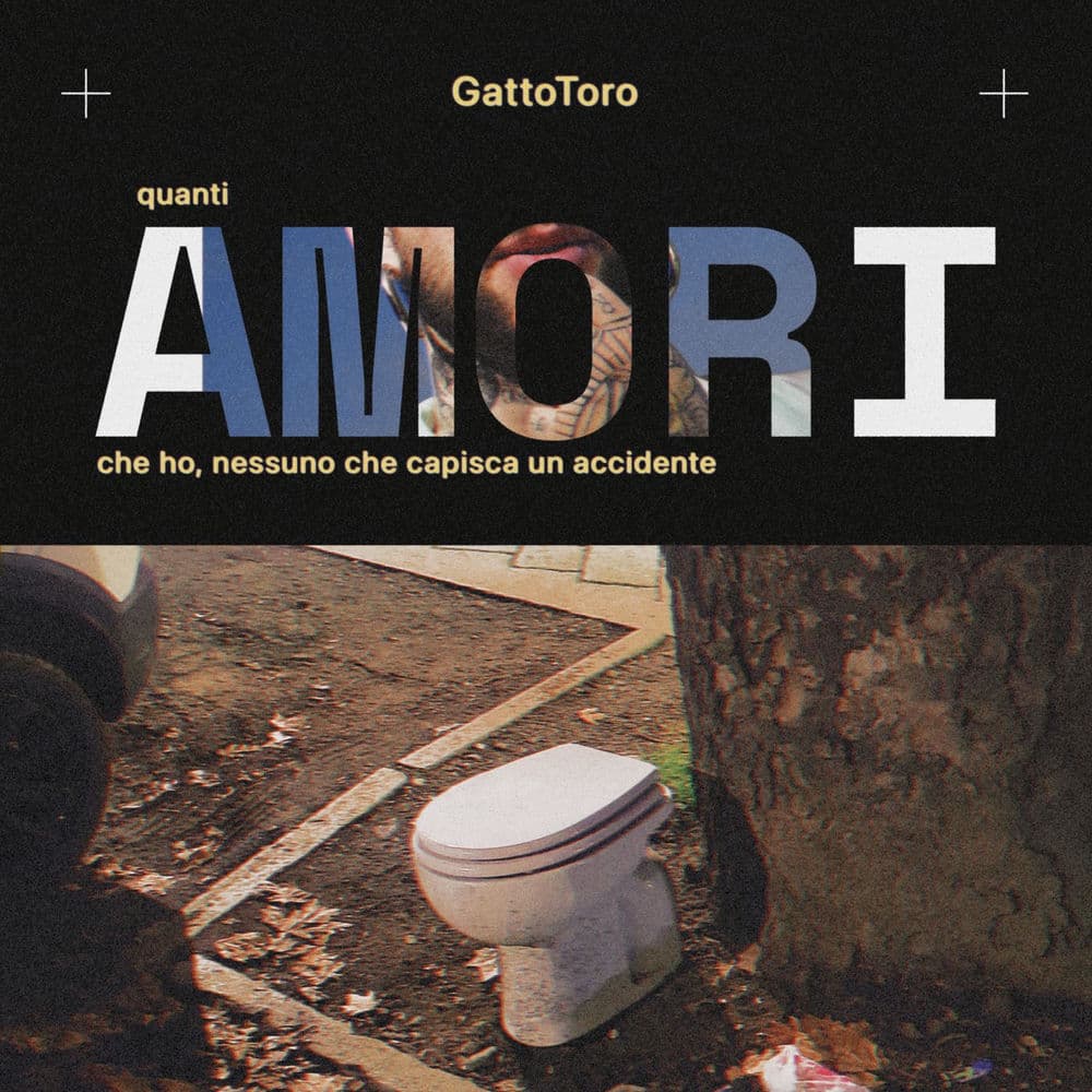 GattoToro