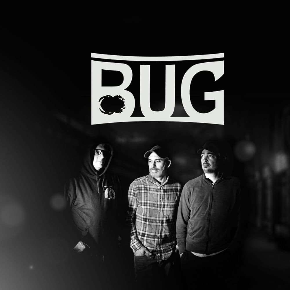 Bug