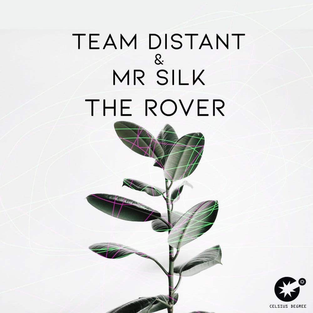 Mr Silk