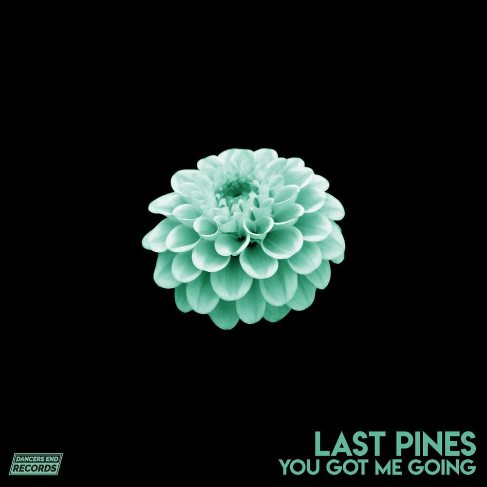 Last Pines