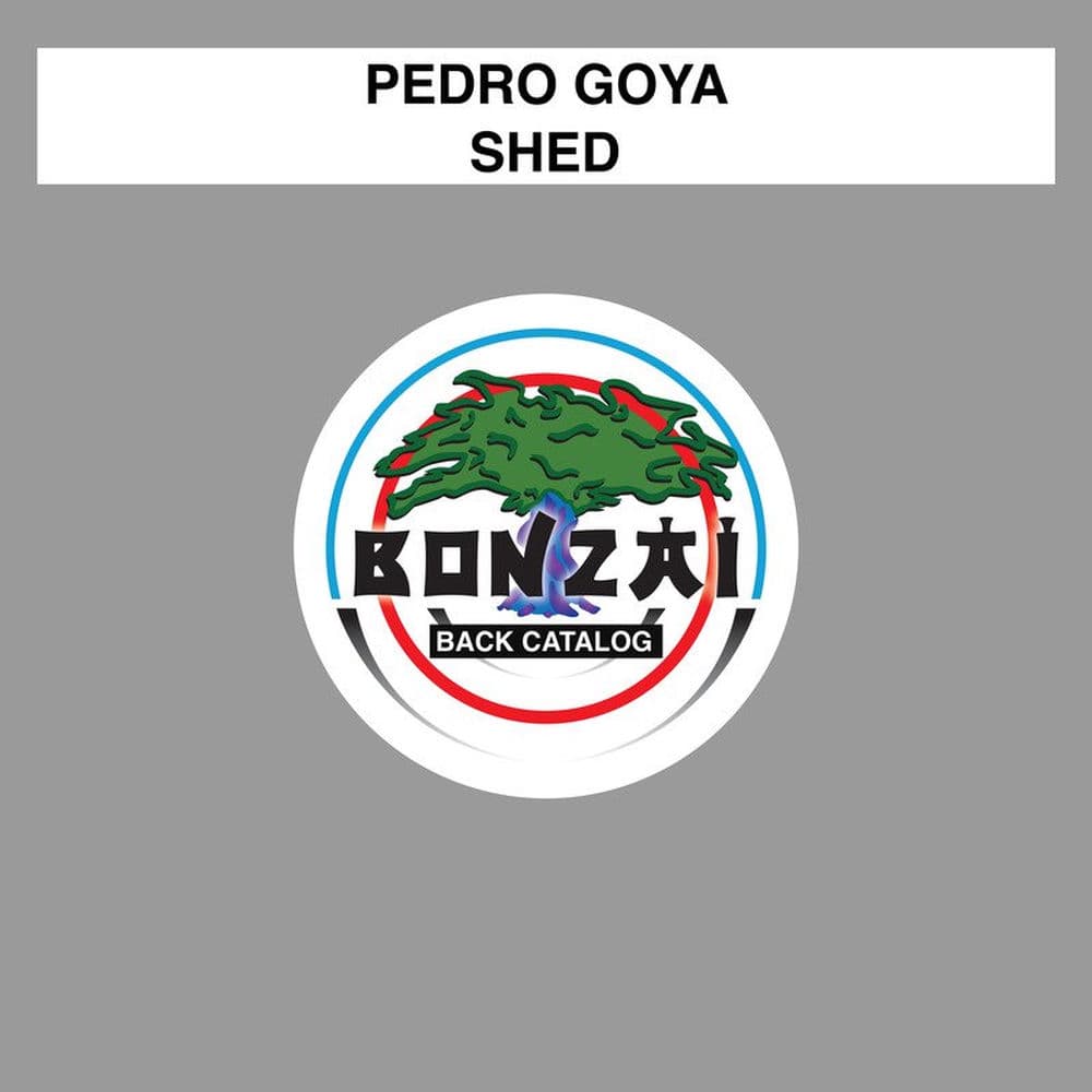 Pedro Goya