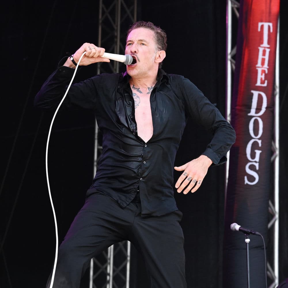The Dogs
