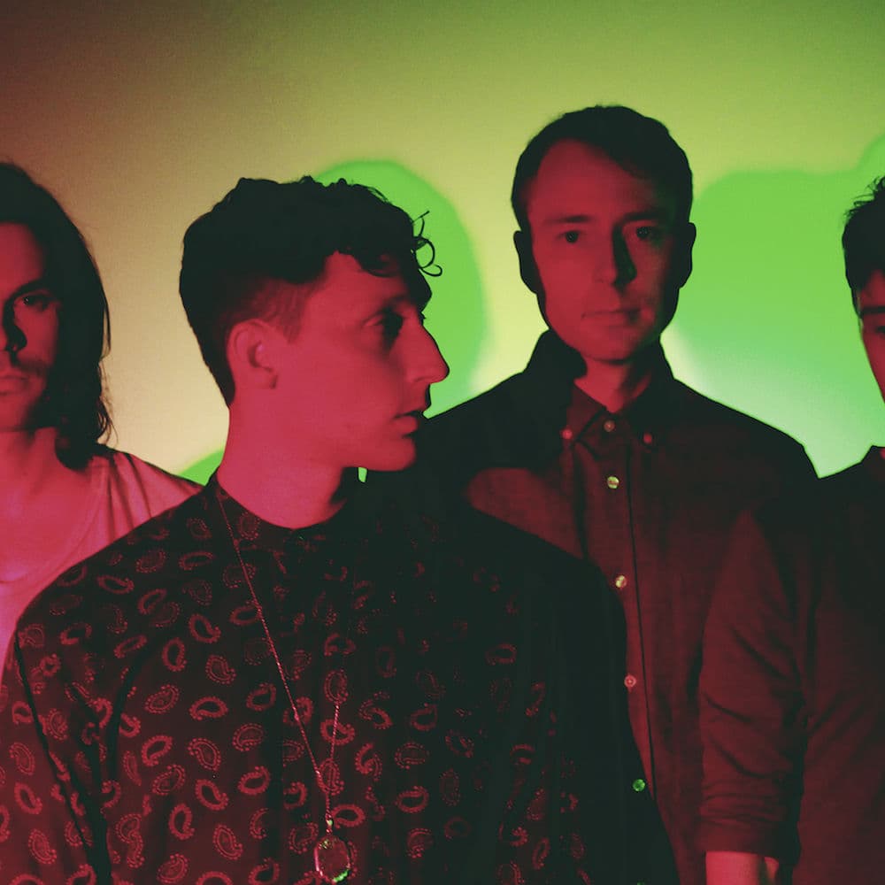 The Zolas