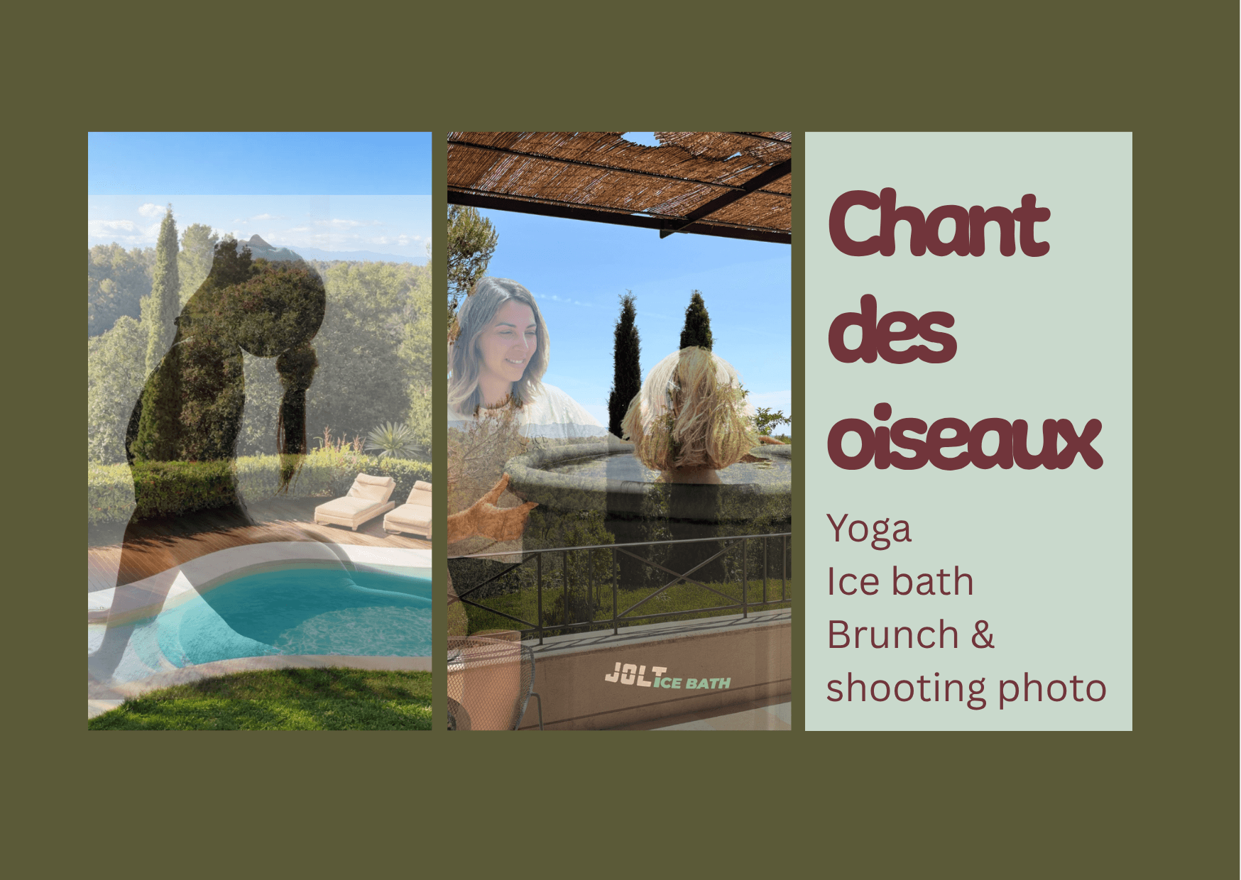 Le chant des oiseaux